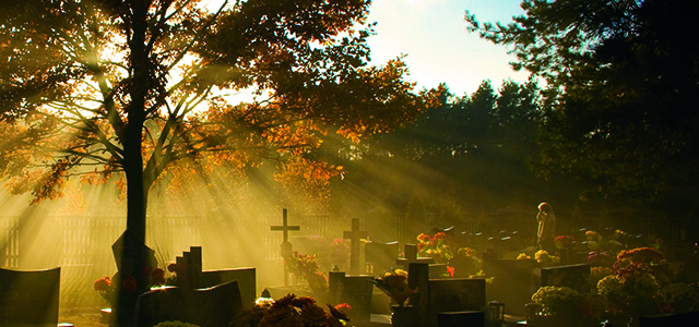 Cemetery at Twilight